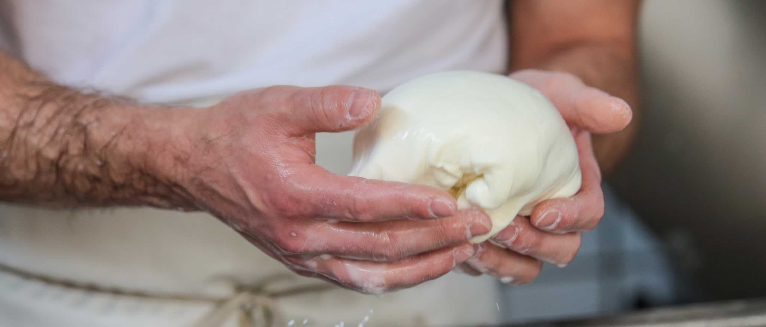 Caseificio La Nuova Masseria - Mozzarella di bufala Campana