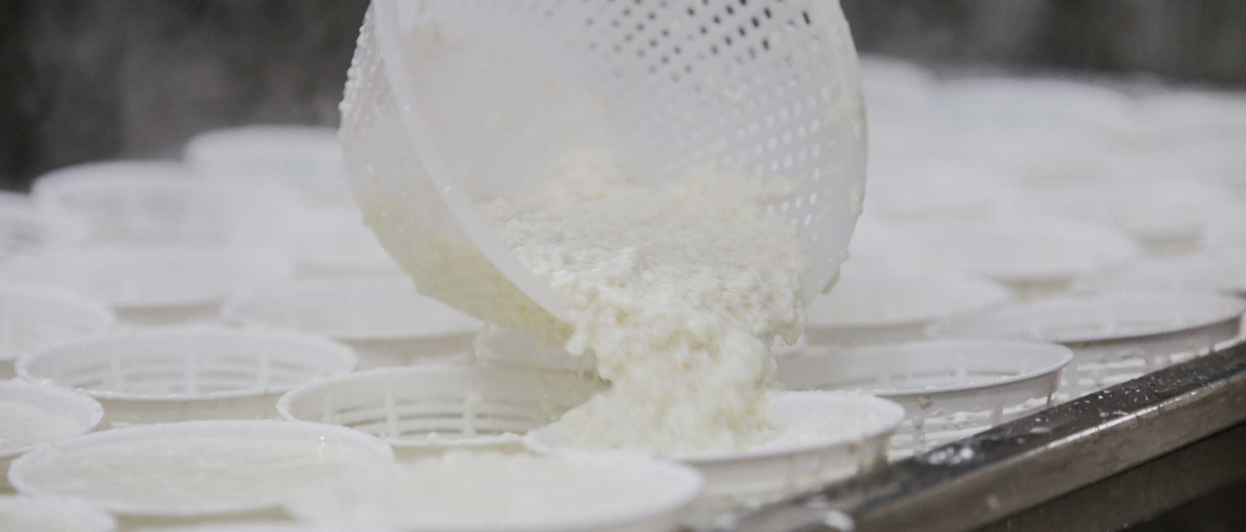 Caseificio La Nuova Masseria - Mozzarella di bufala Campana