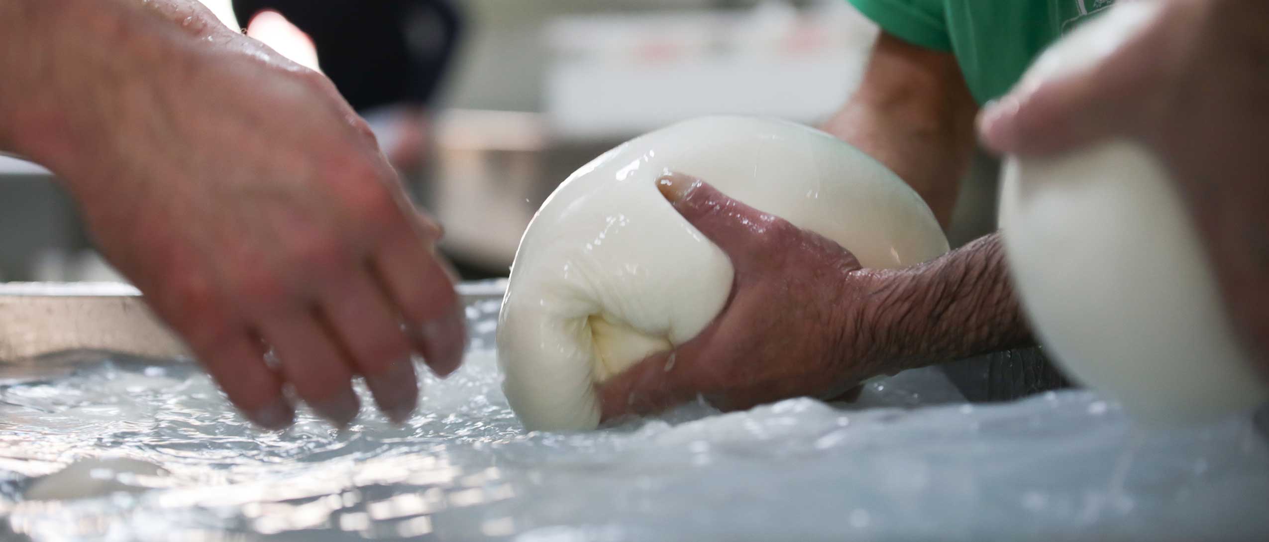 Caseificio La Nuova Masseria - Mozzarella di bufala Campana
